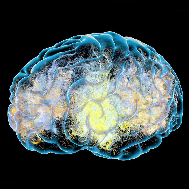 CBN and Dopamine Regulation